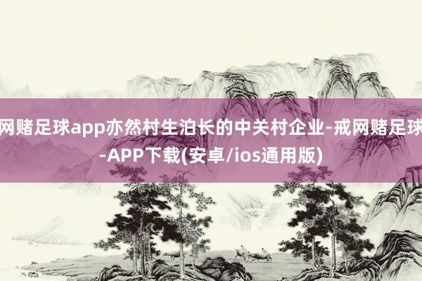 网赌足球app亦然村生泊长的中关村企业-戒网赌足球-APP下载(安卓/ios通用版)