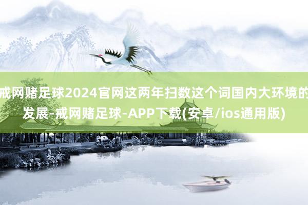 戒网赌足球2024官网这两年扫数这个词国内大环境的发展-戒网赌足球-APP下载(安卓/ios通用版)