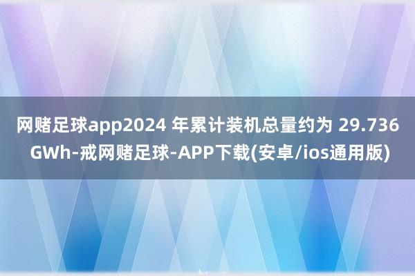 网赌足球app2024 年累计装机总量约为 29.736 GWh-戒网赌足球-APP下载(安卓/ios通用版)