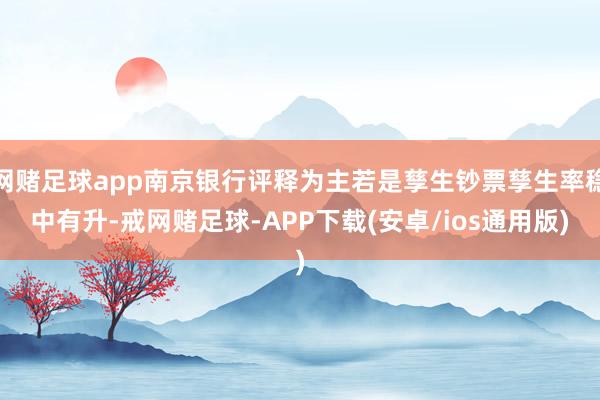 网赌足球app南京银行评释为主若是孳生钞票孳生率稳中有升-戒网赌足球-APP下载(安卓/ios通用版)