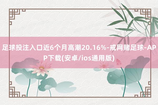 足球投注入口近6个月高潮20.16%-戒网赌足球-APP下载(安卓/ios通用版)