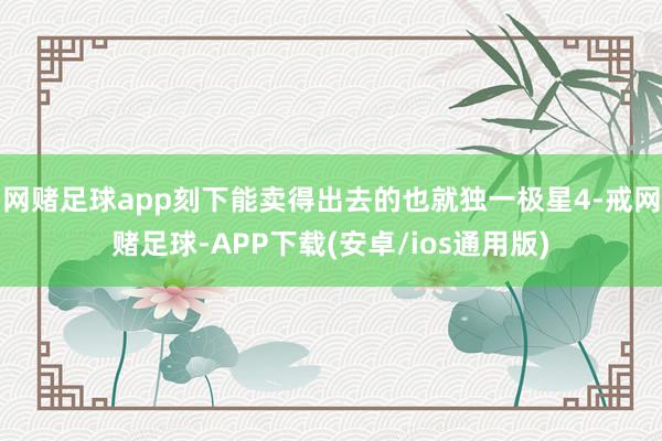 网赌足球app刻下能卖得出去的也就独一极星4-戒网赌足球-APP下载(安卓/ios通用版)