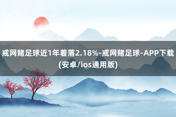 戒网赌足球近1年着落2.18%-戒网赌足球-APP下载(安卓/ios通用版)