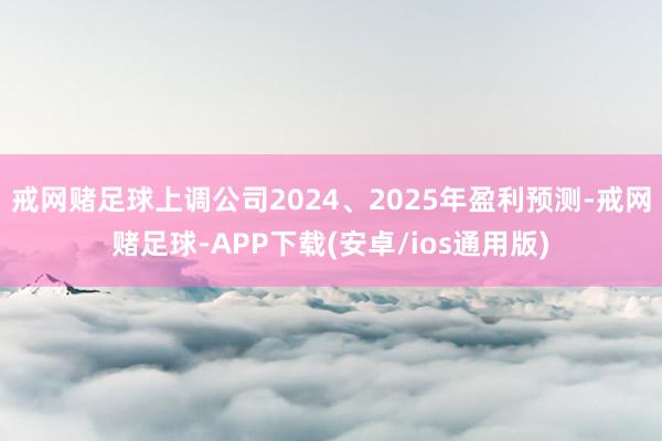 戒网赌足球上调公司2024、2025年盈利预测-戒网赌足球-APP下载(安卓/ios通用版)