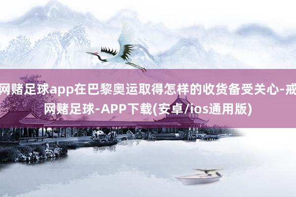 网赌足球app在巴黎奥运取得怎样的收货备受关心-戒网赌足球-APP下载(安卓/ios通用版)