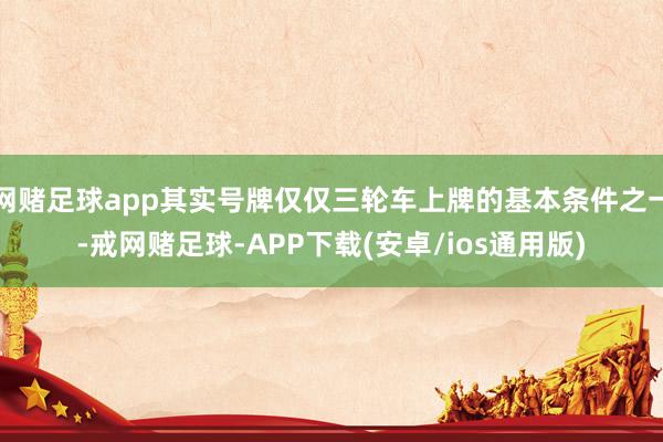 网赌足球app其实号牌仅仅三轮车上牌的基本条件之一-戒网赌足球-APP下载(安卓/ios通用版)