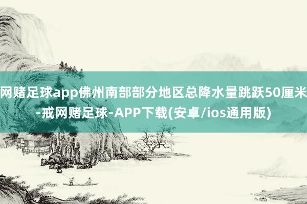 网赌足球app佛州南部部分地区总降水量跳跃50厘米-戒网赌足球-APP下载(安卓/ios通用版)