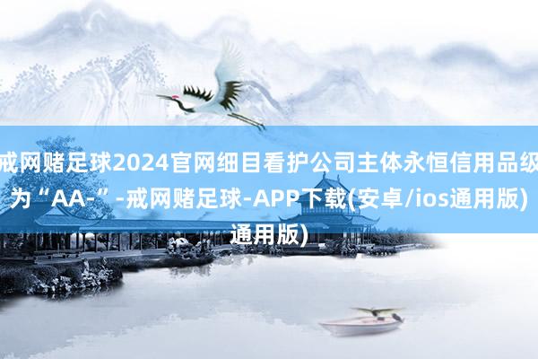 戒网赌足球2024官网细目看护公司主体永恒信用品级为“AA-”-戒网赌足球-APP下载(安卓/ios通用版)