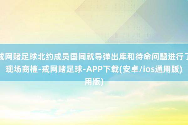 戒网赌足球北约成员国间就导弹出库和待命问题进行了现场商榷-戒网赌足球-APP下载(安卓/ios通用版)