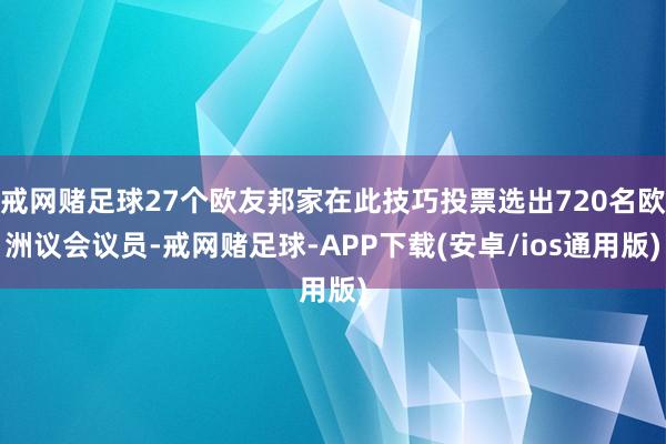 戒网赌足球27个欧友邦家在此技巧投票选出720名欧洲议会议员-戒网赌足球-APP下载(安卓/ios通用版)