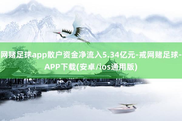 网赌足球app散户资金净流入5.34亿元-戒网赌足球-APP下载(安卓/ios通用版)