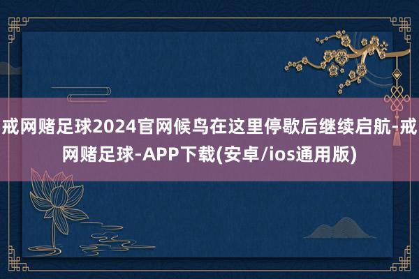 戒网赌足球2024官网候鸟在这里停歇后继续启航-戒网赌足球-APP下载(安卓/ios通用版)