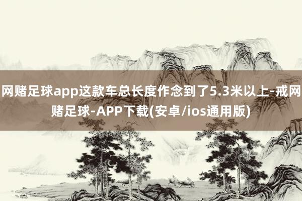 网赌足球app这款车总长度作念到了5.3米以上-戒网赌足球-APP下载(安卓/ios通用版)