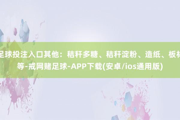 足球投注入口其他：秸秆多糖、秸秆淀粉、造纸、板材等-戒网赌足球-APP下载(安卓/ios通用版)