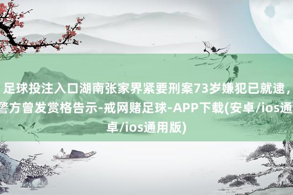 足球投注入口湖南张家界紧要刑案73岁嫌犯已就逮，此前警方曾发赏格告示-戒网赌足球-APP下载(安卓/ios通用版)