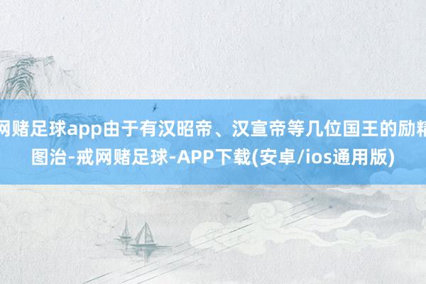 网赌足球app由于有汉昭帝、汉宣帝等几位国王的励精图治-戒网赌足球-APP下载(安卓/ios通用版)