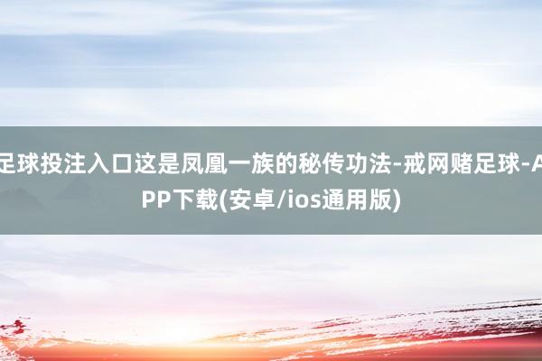 足球投注入口这是凤凰一族的秘传功法-戒网赌足球-APP下载(安卓/ios通用版)