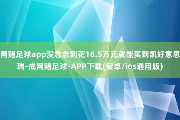 网赌足球app没念念到花16.5万元就能买到凯好意思瑞-戒网赌足球-APP下载(安卓/ios通用版)