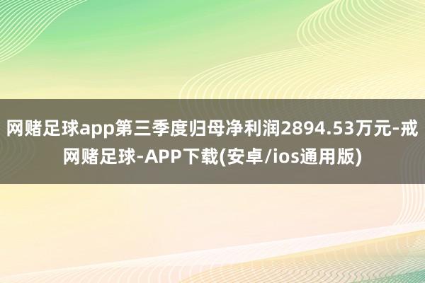 网赌足球app第三季度归母净利润2894.53万元-戒网赌足球-APP下载(安卓/ios通用版)