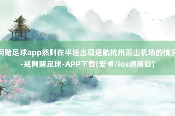 网赌足球app然则在半途出现返航杭州萧山机场的情况-戒网赌足球-APP下载(安卓/ios通用版)