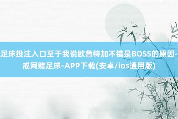 足球投注入口至于我说欧鲁特加不错是BOSS的原因-戒网赌足球-APP下载(安卓/ios通用版)