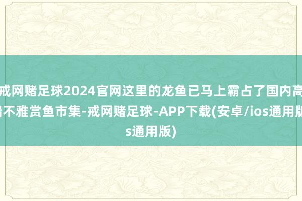 戒网赌足球2024官网这里的龙鱼已马上霸占了国内高端不雅赏鱼市集-戒网赌足球-APP下载(安卓/ios通用版)