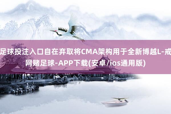 足球投注入口自在弃取将CMA架构用于全新博越L-戒网赌足球-APP下载(安卓/ios通用版)