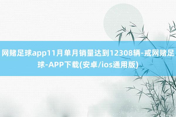 网赌足球app11月单月销量达到12308辆-戒网赌足球-APP下载(安卓/ios通用版)