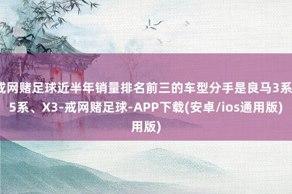 戒网赌足球近半年销量排名前三的车型分手是良马3系、5系、X3-戒网赌足球-APP下载(安卓/ios通用版)