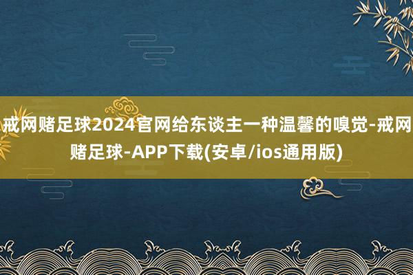 戒网赌足球2024官网给东谈主一种温馨的嗅觉-戒网赌足球-APP下载(安卓/ios通用版)