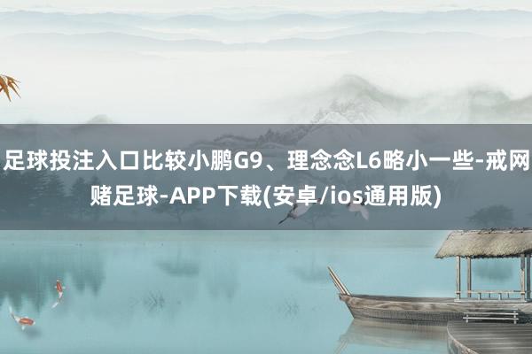 足球投注入口比较小鹏G9、理念念L6略小一些-戒网赌足球-APP下载(安卓/ios通用版)