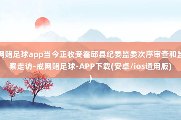 网赌足球app当今正收受霍邱县纪委监委次序审查和监察走访-戒网赌足球-APP下载(安卓/ios通用版)