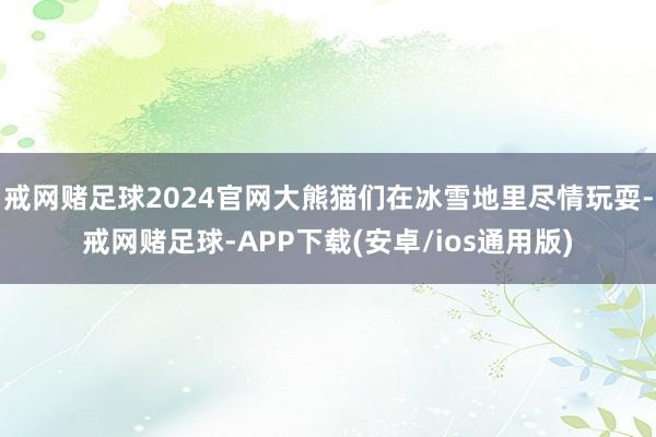 戒网赌足球2024官网大熊猫们在冰雪地里尽情玩耍-戒网赌足球-APP下载(安卓/ios通用版)