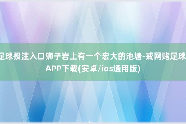 足球投注入口狮子岩上有一个宏大的池塘-戒网赌足球-APP下载(安卓/ios通用版)