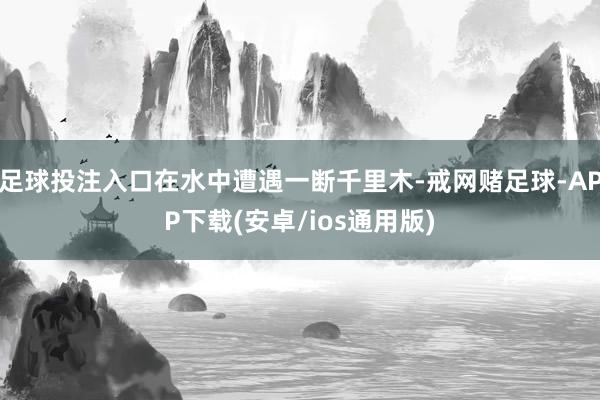 足球投注入口在水中遭遇一断千里木-戒网赌足球-APP下载(安卓/ios通用版)