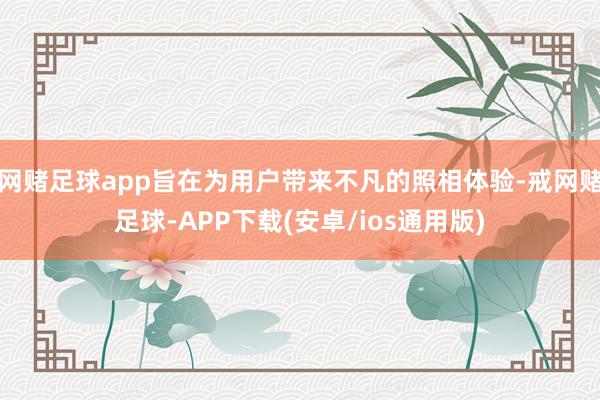 网赌足球app旨在为用户带来不凡的照相体验-戒网赌足球-APP下载(安卓/ios通用版)