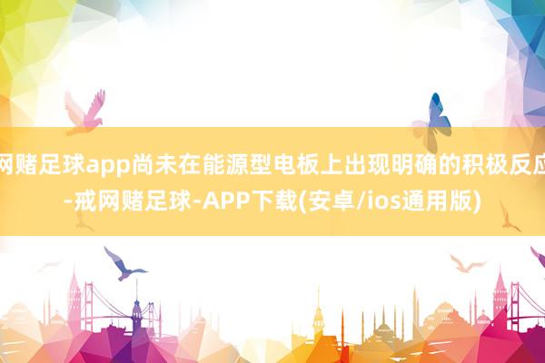 网赌足球app尚未在能源型电板上出现明确的积极反应-戒网赌足球-APP下载(安卓/ios通用版)