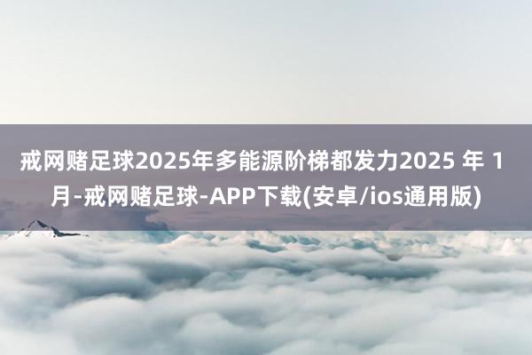 戒网赌足球2025年多能源阶梯都发力2025 年 1 月-戒网赌足球-APP下载(安卓/ios通用版)
