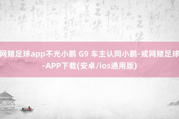 网赌足球app不光小鹏 G9 车主认同小鹏-戒网赌足球-APP下载(安卓/ios通用版)